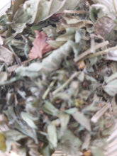 Lade das Bild in den Galerie-Viewer, Melisse-Nachfüllpack